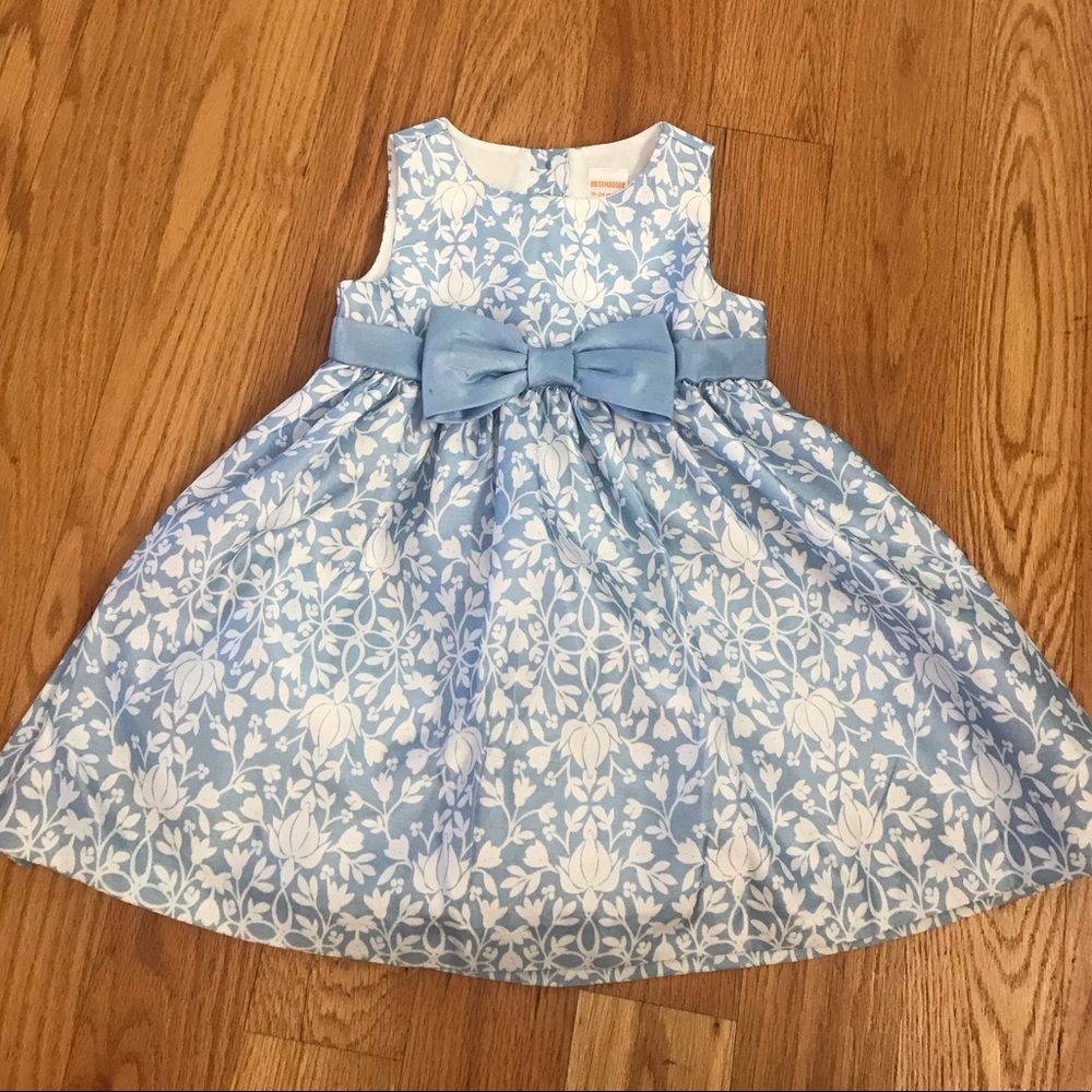 Gymboree Blue and White Floral Dress
